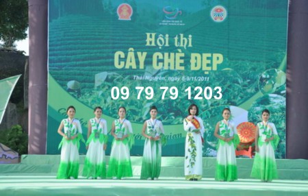       Liên Hoan trà thái nguyên năm 2013